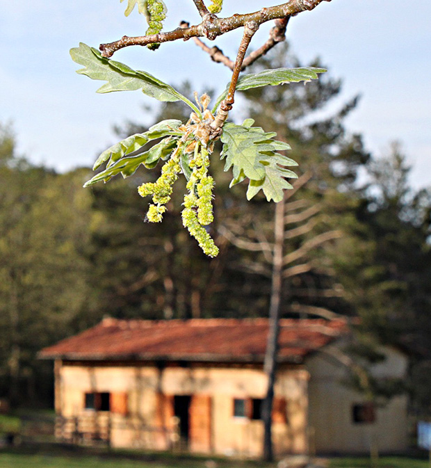 Ecourbión: El Hotel Rural