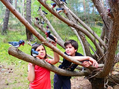 ECO URBIÓN: El bosque mágico con niños