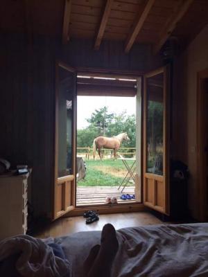 ECO URBIÓN: Habitaciones con los caballos a la vista